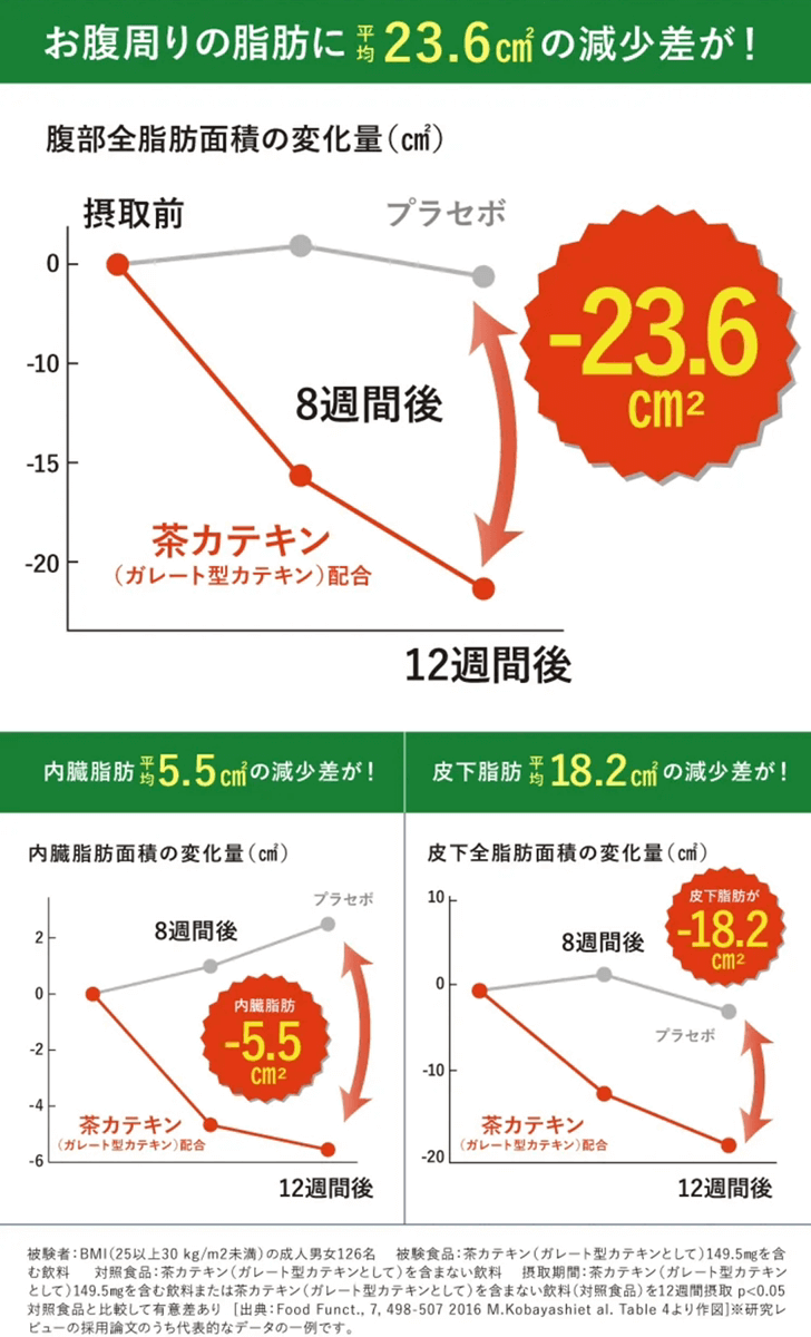 お腹周りの脂肪を減らす実績データ